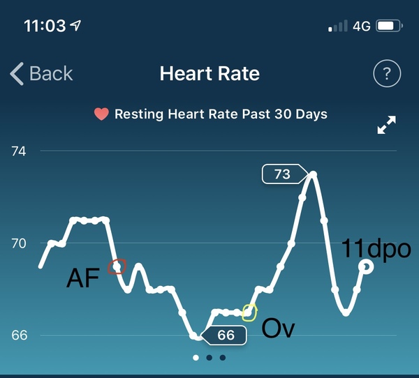 Tracking your cycle and possible BFP using RHR - part 2