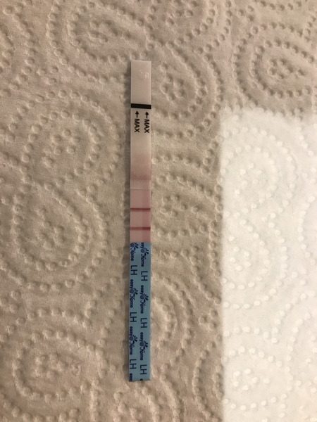 New to OPK...help reading please