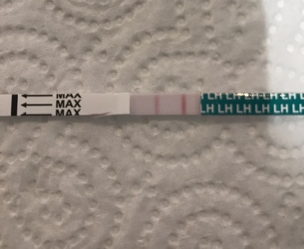 New to OPK...help reading please