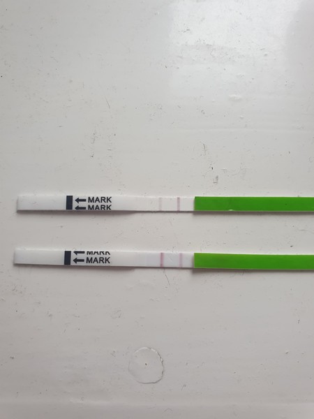 First time using opks