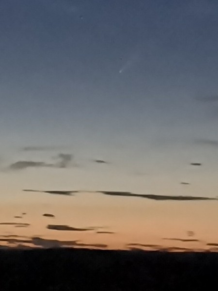 Has anyone seen Comet Neowise
