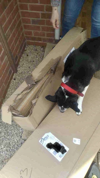 Deliveries:- Anyone else had this?