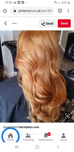 To dye my hair or not dye my hair? (Pic)
