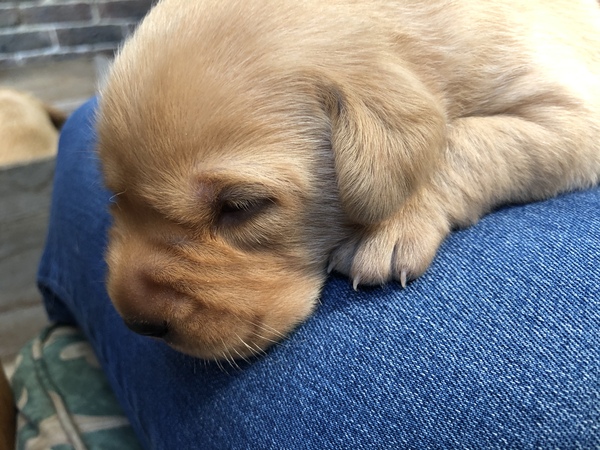 Dec19/Jan20 IVF Graduates - Thread 2