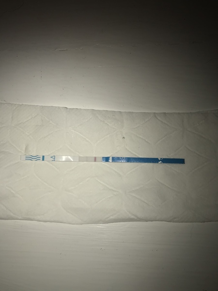 OPKs - help!