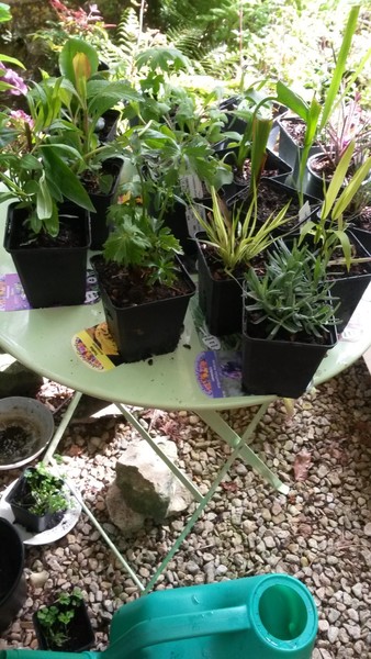 Secret gardening club