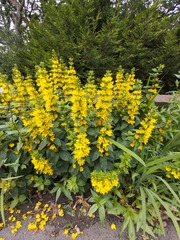 Identification?