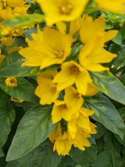 Identification?