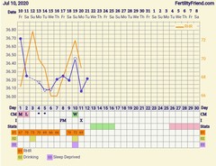Tracking your cycle and possible BFP using RHR - part 2