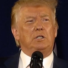The Great American Comeback Festival - Not (Trump Thread #102)