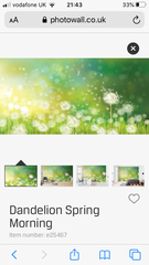 Which colour paint with this wallpaper?