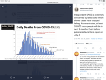 Daily numbers, graphs, analysis thread 11