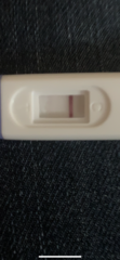 Ivf fet 7dp3dt