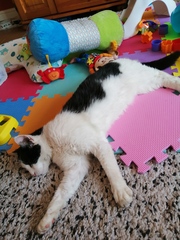 TTC First Baby Catch-up With Our Babies Continued!!