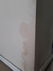 Anyone know of a national company that does damp proofing?