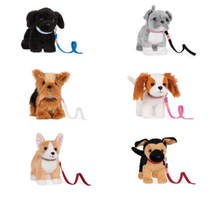 What's a good "starter" dog for someone with a bit of a dog fear?
