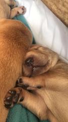 Dec19/Jan20 IVF Graduates - Thread 2