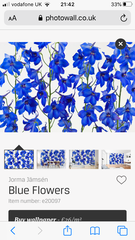Which colour paint with this wallpaper?