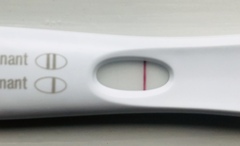 12 dpo faint bfp?