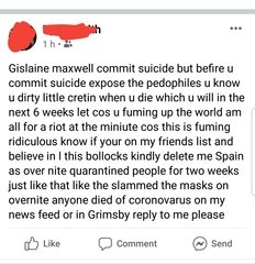 Covidiots. Conspiracy theories, hostility and telling us all to "wake up"