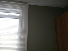 Struggling to find the perfect green paint