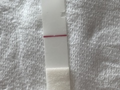 Positive OPK the day period is due!
