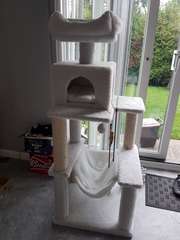 Cat tree purchase regret