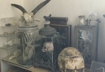 Curio cabinet