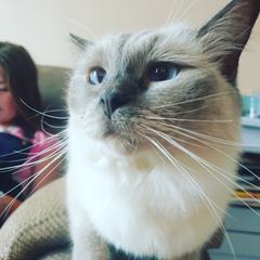 What's your DCat up to today? (Thread 8)