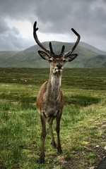 UK holiday - I had the best time out with my camera today