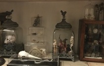 Curio cabinet