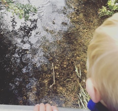 Lockdown (almost) over and frugalling continues!