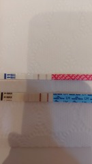 Penguin huddle 🐧🐧🐧 TTC after pregnancy loss - Thread 35 - time for some sticky BFP's