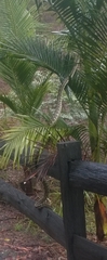 Omg snake in garden