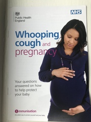 Pregnant - should I get whooping cough vaccine?