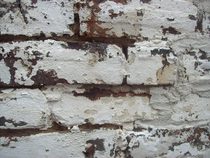 Advice needed - Repointing 100year old garden wall