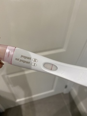 TTC - Aug testers