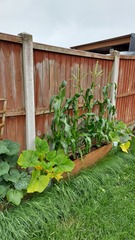 Penguin huddle 🐧🐧🐧 TTC after pregnancy loss - Thread 35 - time for some sticky BFP's