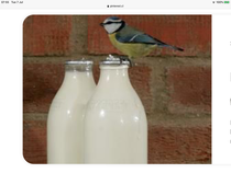 How do you add a photo to a message on a thread?