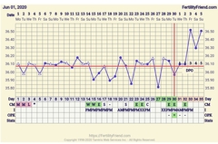 How many dpo?