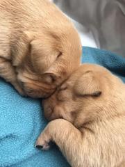 Dec19/Jan20 IVF Graduates - Thread 2