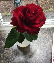 buying a rose online