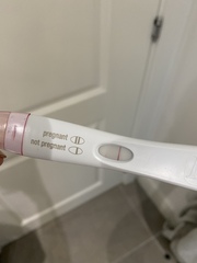 TTC - Aug testers