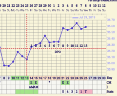 Tracking your cycle and possible BFP using RHR - part 2