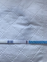 TTC baby no1. Looking for fellow crazy TTC friends!