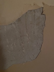 Fixing wall for re-painting?