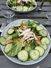 Blood sugar diet and fast800 thread 20