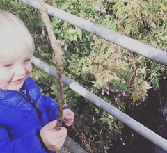 Lockdown (almost) over and frugalling continues!