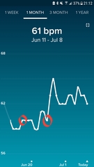 Tracking your cycle and possible BFP using RHR - part 2