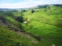 Pregnant After Loss and Dreaming of Rainbows - 4